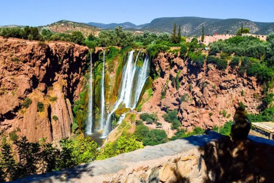 Excursion d’une journée aux cascades d’Ouzoud