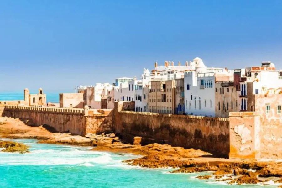 Excursion d’une journée à Essaouira